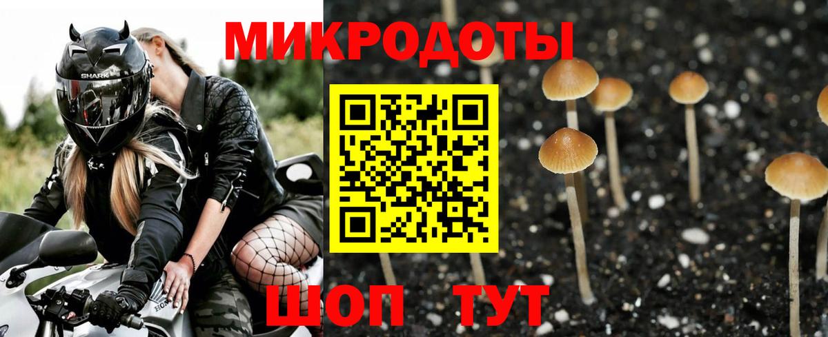 Ливны  Галлюциногенные грибы мухоморы  Вход с VPN 